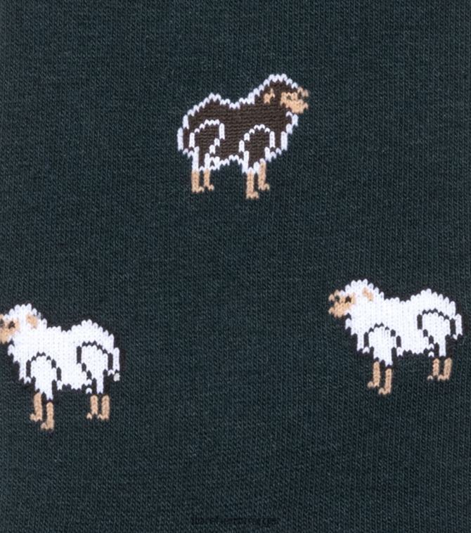 nei Florsheim unisex tilbehør stanley crew dress sokker grønn multi 08PX62567